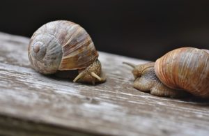 limache approccio omnicanale banche e assicurazioni